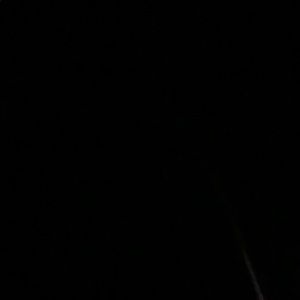 Meet your Posher, Cody